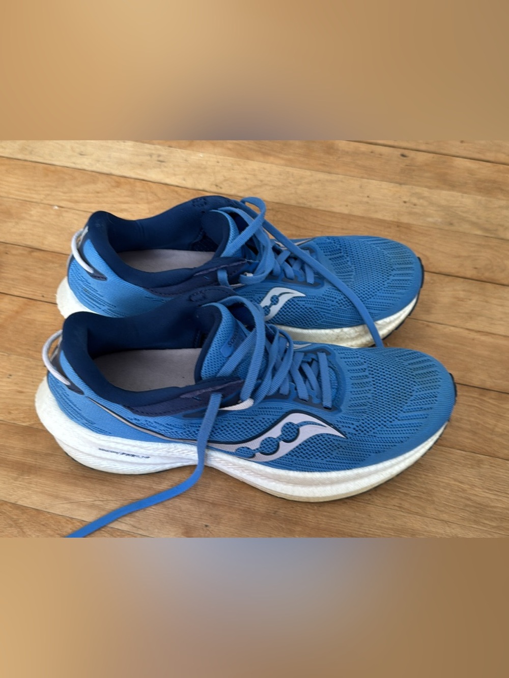 Saucony Triumph 21 (Women's, 9.5)